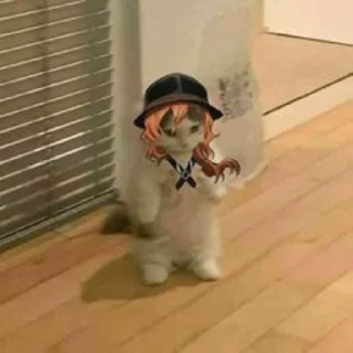 🦊 emoji бродячие коты Telegram sticker 5 of 114