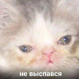 😒 emoji 💕Стики тут: @sekstick Telegram sticker 15 of 120