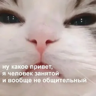 😤 emoji 💕Стики тут: @sekstick Telegram sticker 18 of 120