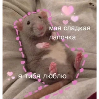 🙂 emoji Больше стикеров тут: @stikery_emodzi_memy Telegram sticker 22 of 30