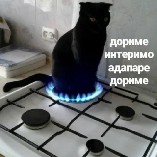 😂 emoji Мем Набор - by @BCE_HOPME Telegram sticker 6 of 58