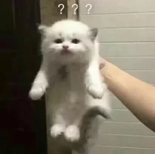 ❓ emoji лучшие детки и стас — @stckrRobot Telegram sticker 12 of 23