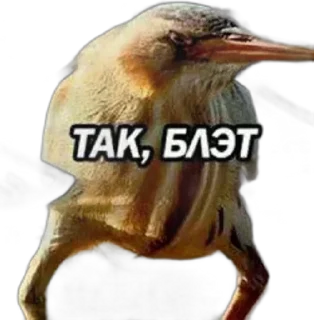 Sticker from Завидуй без слез