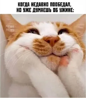 Sticker from Животные мемы
