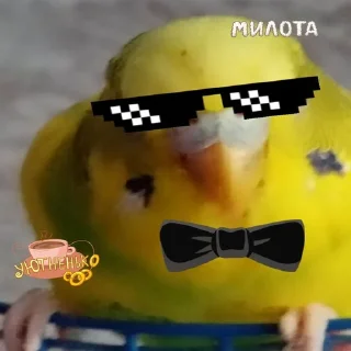 🥵 emoji я еблан Telegram sticker 6 of 83