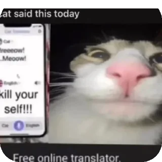 Sticker from Слишком смешной кот