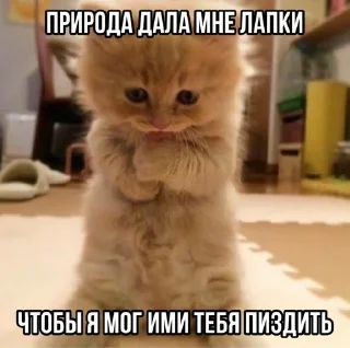 Sticker from Агро котики