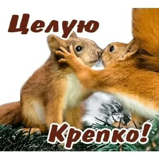 😘 emoji Эуэуэуэуэуэуэу Telegram sticker 17 of 118