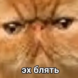Sticker from Эх бляя
