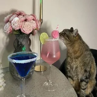 🍸 emoji Больше стикеров 👉🏻 @stickertg4 Telegram sticker 13 of 50