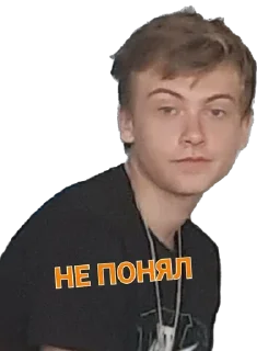 🪳 emoji Серега с тараканами Telegram sticker 15 of 27