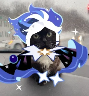 🐱 emoji puto Telegram sticker 14 of 17