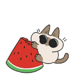🍉 emoji Больше стикеров 👉🏻 @stickertg4 Telegram sticker 19 of 48
