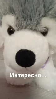 🤔 emoji Плюш дог Рэйчелл Telegram sticker 1 of 20