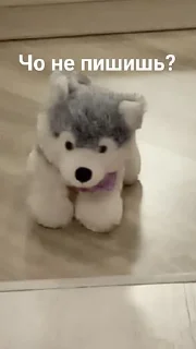 📝 emoji Плюш дог Рэйчелл Telegram sticker 13 of 20