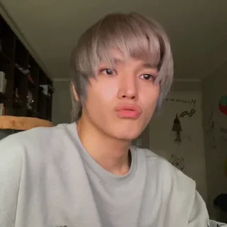 🌹 emoji taeyong ss by @stikersnct Telegram sticker 23 of 63