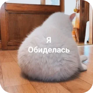 Sticker from Больше стикеров тут: @stikery_emodzi_memy
