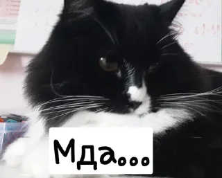 Sticker from Чапунька