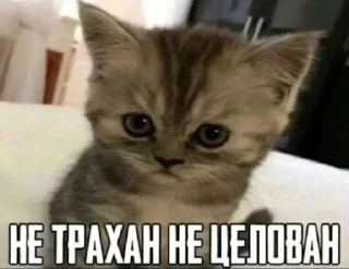 😢 emoji Больше стикеров 👉🏻 @stickertg4 Telegram sticker 3 of 69