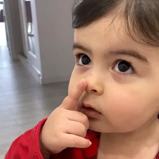🤥 emoji Пельмешка Telegram sticker 19 of 73