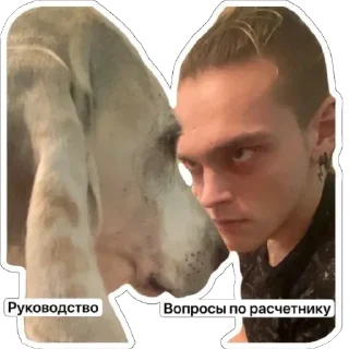 Sticker from 💵Глеб, такой Глеб💵
