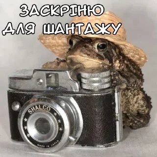 😬 emoji Файні звірятка 2 (by @gendalfs_titties) Telegram sticker 8 of 81