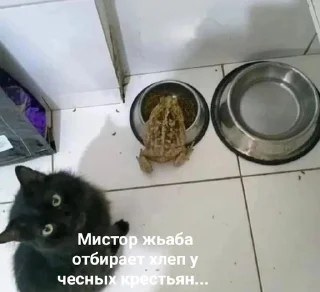 😭 emoji жабья нора. Telegram sticker 3 of 50