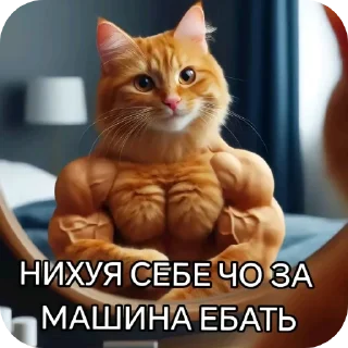 🐱 emoji Токсично Telegram sticker 10 of 37