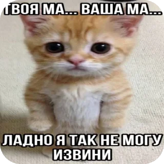 Sticker from Стики