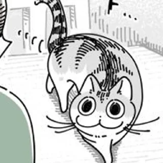 🌟 emoji Котейка Telegram sticker 5 of 80