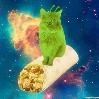 🌟 emoji Кот инопланетянин/cat alien Telegram sticker 9 of 11