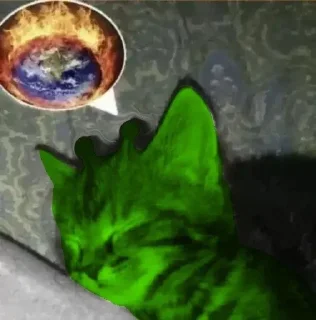 🌟 emoji Кот инопланетянин/cat alien Telegram sticker 5 of 11