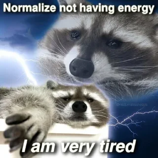 ☹️ emoji racoon Telegram sticker 19 of 85