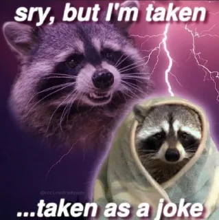 😢 emoji racoon Telegram sticker 18 of 85