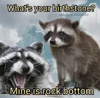 😢 emoji racoon Telegram sticker 5 of 85