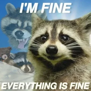 🙂 emoji racoon Telegram sticker 23 of 85