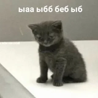 🤕 emoji Хехе Telegram sticker 17 of 42
