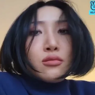 Sticker from hwasa fr @stikhoss