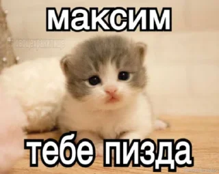 Sticker from туалетный блядун