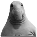 Sticker from Ждун