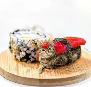 🧁 emoji аккуратно, не съешьте кота Telegram sticker 23 of 120