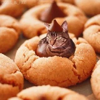 🧁 emoji аккуратно, не съешьте кота Telegram sticker 19 of 120