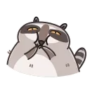Sticker from Racoon
