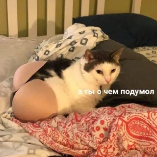Sticker from смешнявки