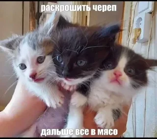 👅 emoji Больше стикеров 👉🏻 @stickertg4 Telegram sticker 16 of 69