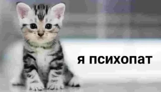 🤡 emoji Больше стикеров 👉🏻 @stickertg4 Telegram sticker 19 of 69