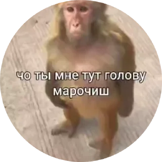 Sticker from Больше стиков: @stickers_tg_sex