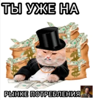Sticker from КТОТАКОПС 🤪