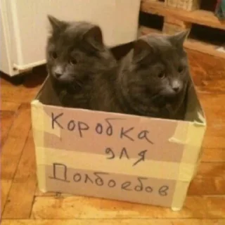 Sticker from на все времена