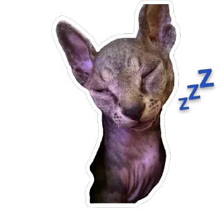 Sticker from Сима